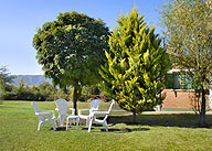 Parque y vista de las cabaas