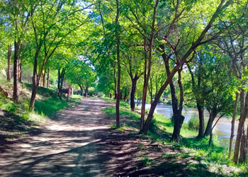 Costanera del ro Los Reartes Cabañas Dolce Vita